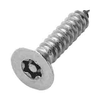 Torx Kilitli Vidalar