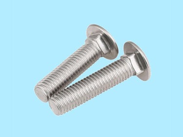 Carriage Bolt-Stainless steel