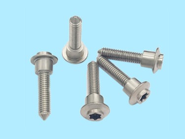 Customized Screw