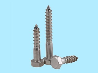 Hex Wood Screw-Stainless Steel