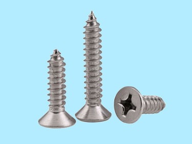 Philips Countersunk Self Tapping Screw-Stainless Steel