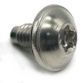 Torx Pan Head Tapping Screw