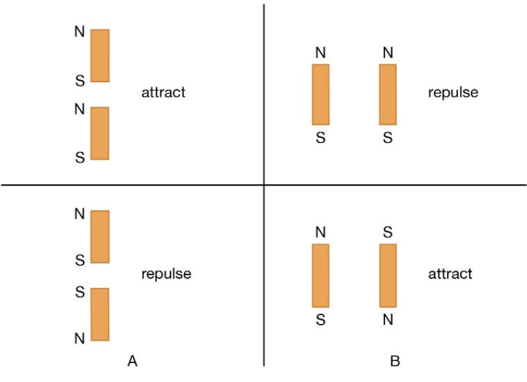 The magnetization direction: