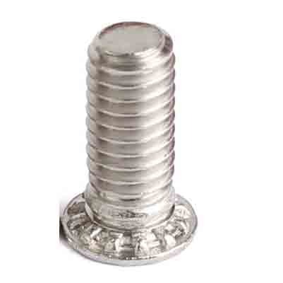 Clinching Screws