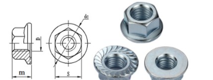 Specifications: of Flange Nut