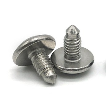 Torx pan head tapping screw