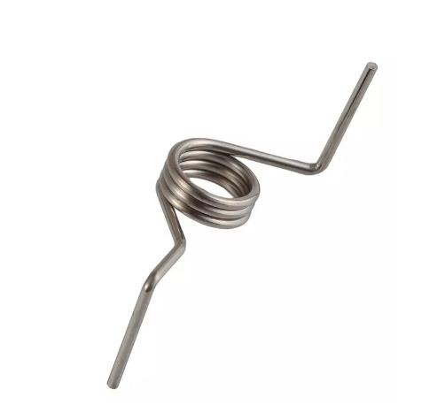 Torsion spring