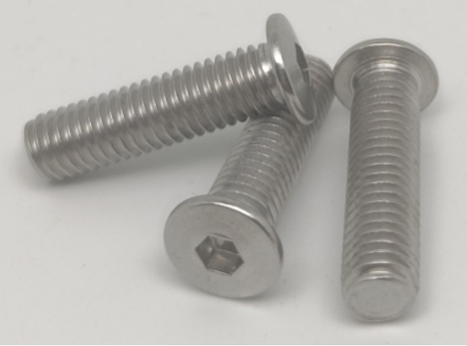 Low Profile Head Screw for Model Plane