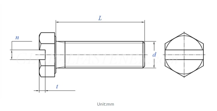 Specifications of Slot Head Hexagon Bolts