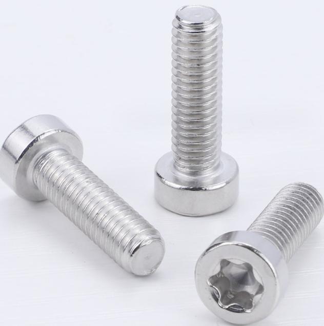 Cap Head Torx Screw