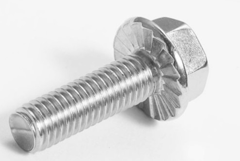 Stainless steel bolt