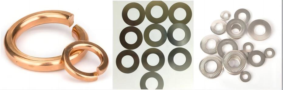 types of spring washers