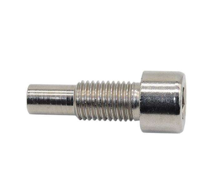 Socket Cup Head Screw