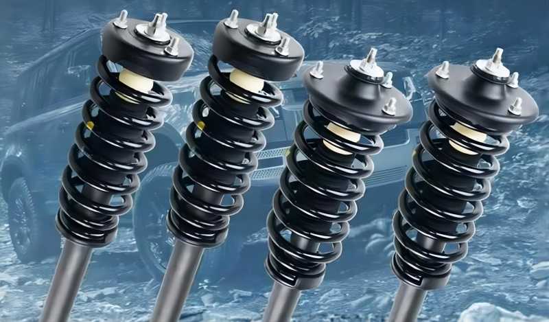 Heavy-Duty coil springs