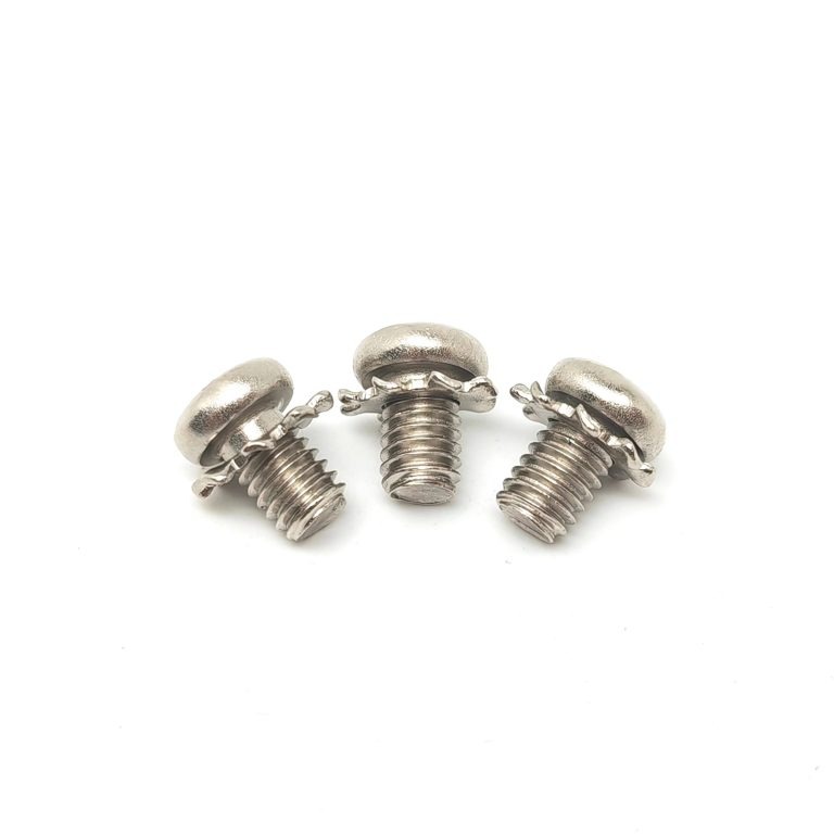 Pan Head Screw with Jagged Washer