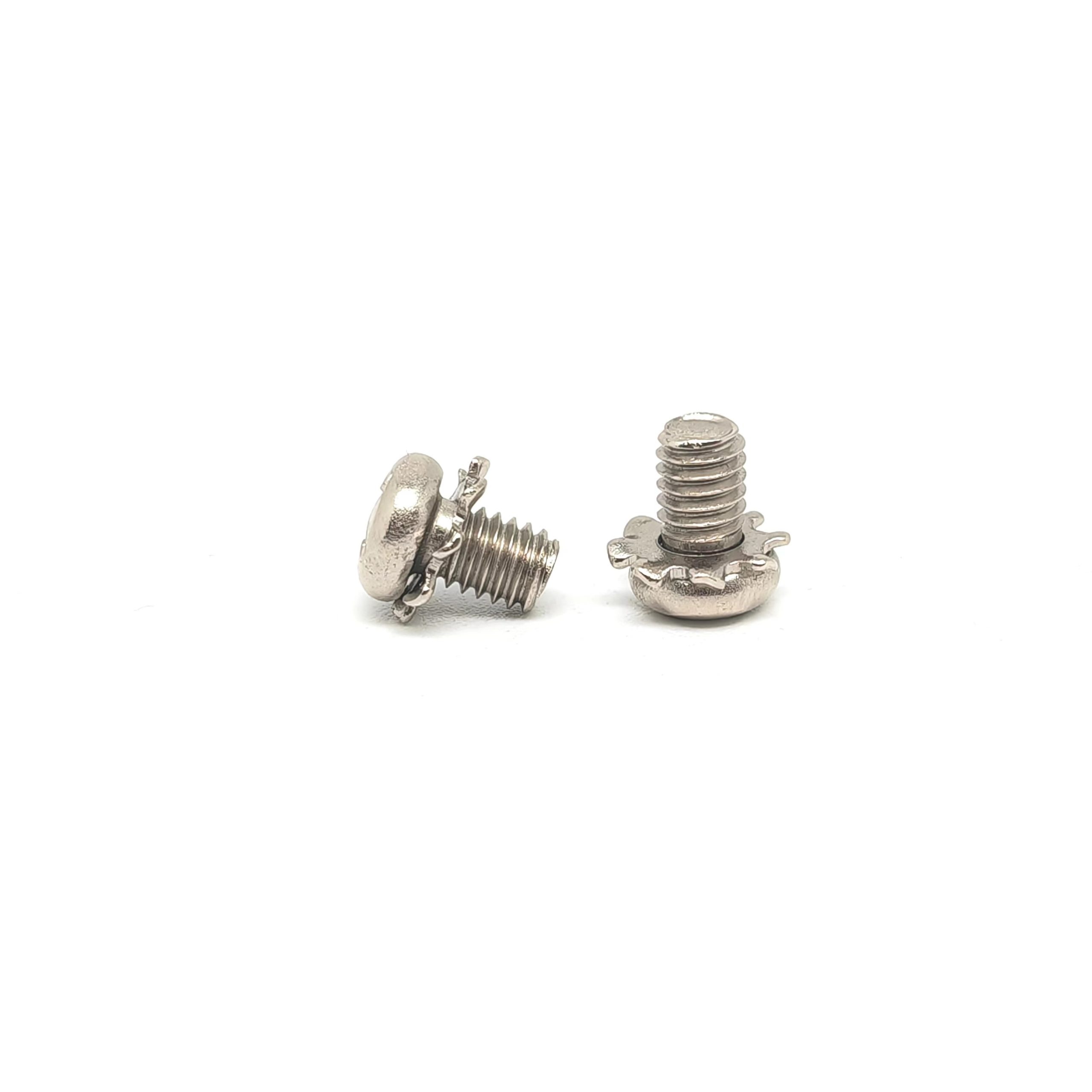 Pan Head Screw with Jagged Washer Supplier