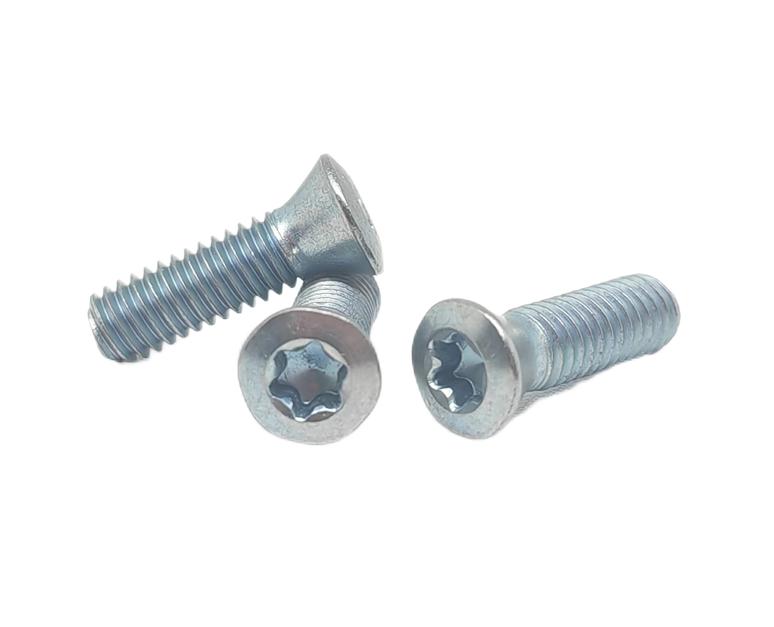 Oval head Torx drive Screw Manufacturer