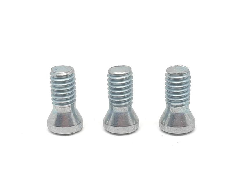 Oval head Torx drive Screw Supplier