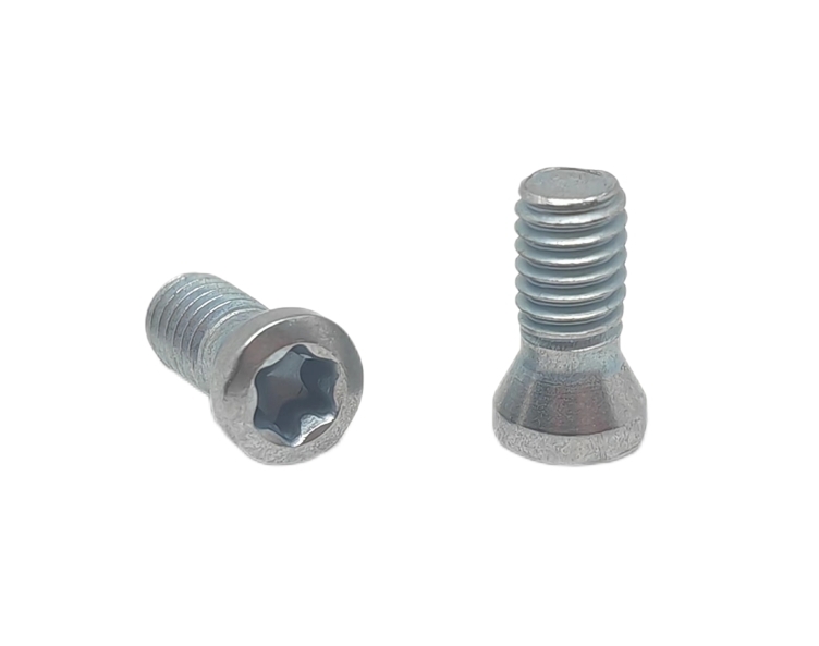 Oval head Torx drive Screw Suppliers