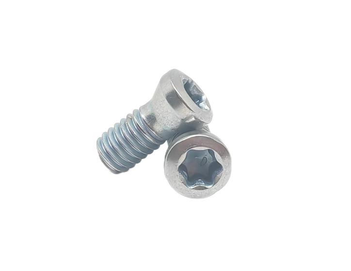 Oval head Torx drive Screws