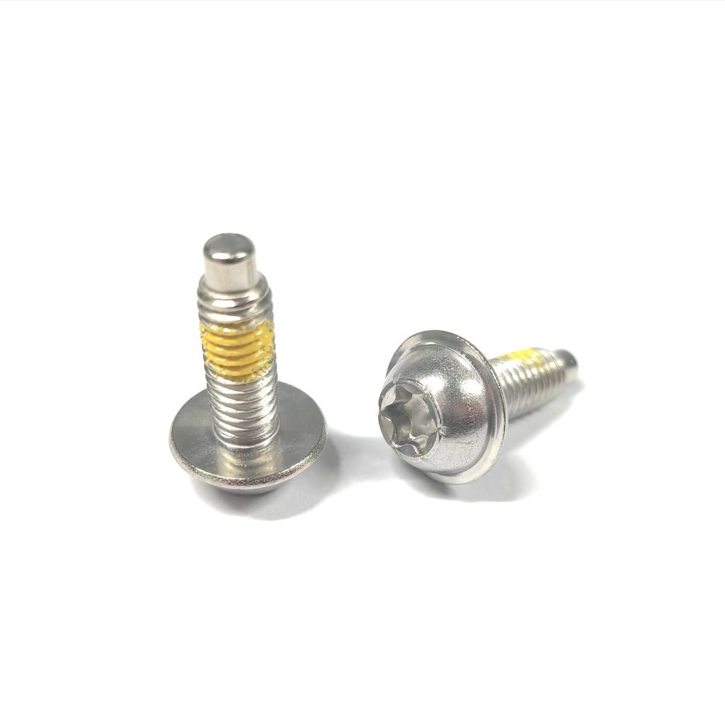 Half Round Head Thread Lock Screws with Washer