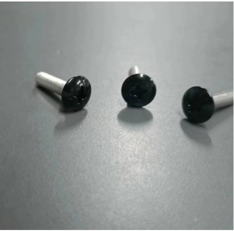Truss Head Painted Screw