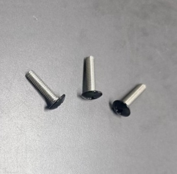 Truss Head Painted Screws