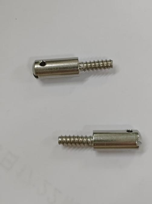Round Head Screw with Hole