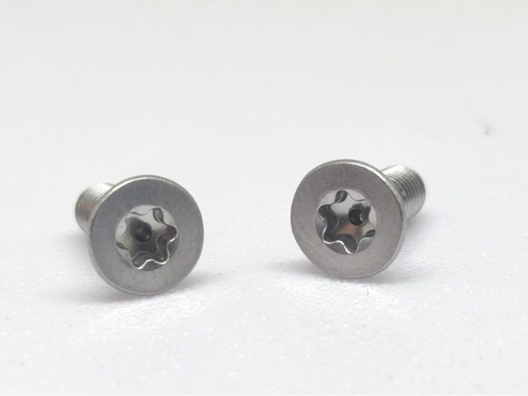 Custom Hollow Countersunk Torx Screws