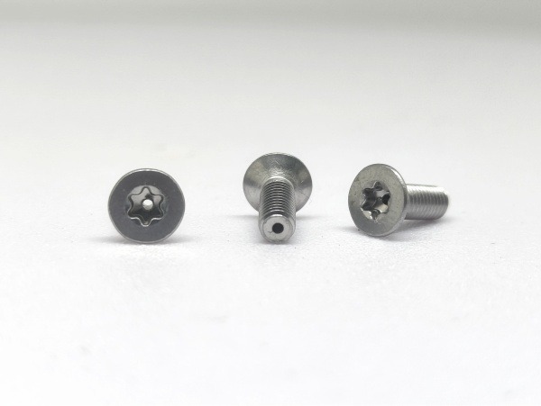 Custom Hollow Countersunk Torx Screws