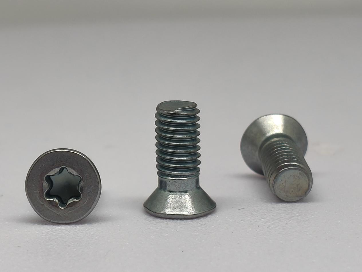 Left Hand Thread Countersunk Torx Screws